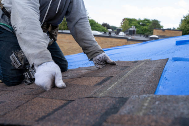 Best New Roof Installation  in Marion, MS
