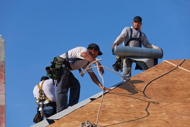 Best Roof Waterproofing Services  in Marion, MS