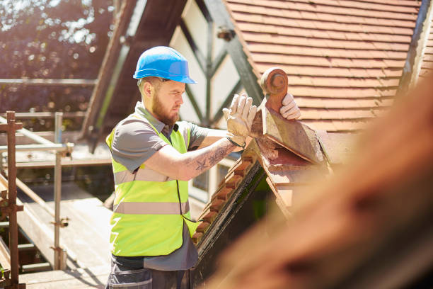Best Local Roofing Companies  in Marion, MS