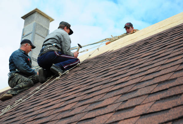 Best Roof Gutter Cleaning  in Marion, MS